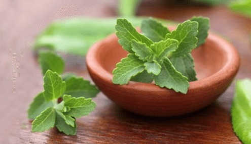 qué es la stevia